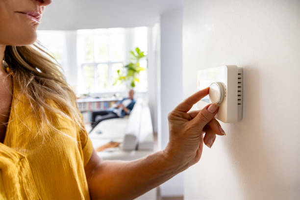 Best Best HVAC Companies  in Chigan Center, MI